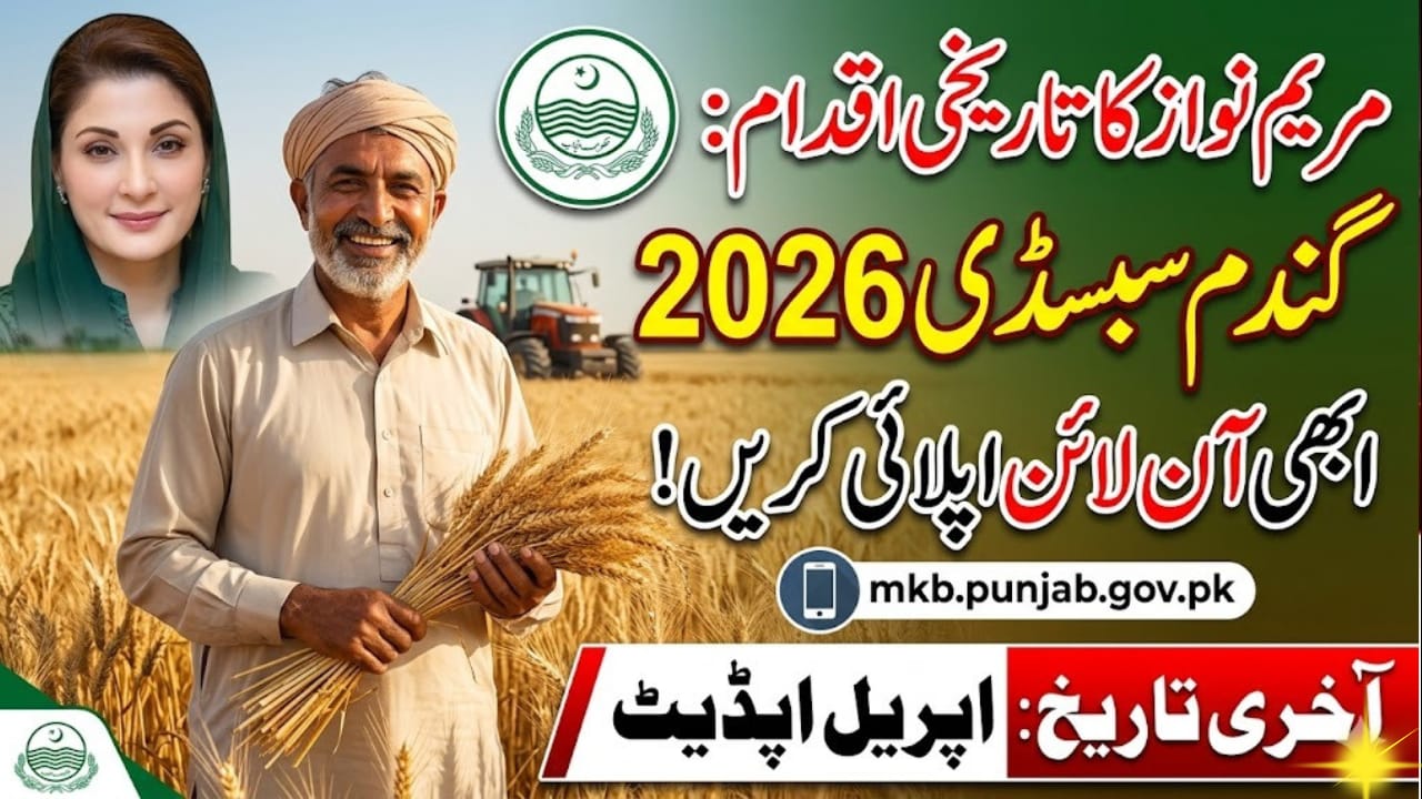 Maryam Nawaz Wheat Subsidy Program